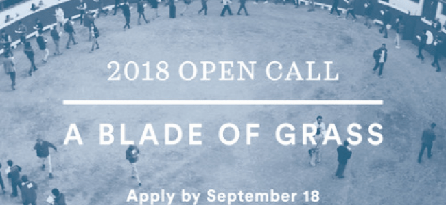 A Blade of Grass 2018 Fellowship for Socially Engaged Art